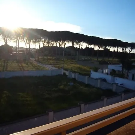 Il Palazzo *
